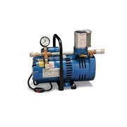 Allegro Industries Allegro Industries 9821-E 220V Model A-750 Ambient Air Pump 9821-E